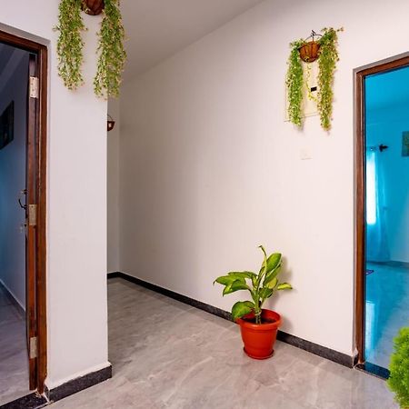 Goan Fiesta Studio Calangute Goa Villa Екстериор снимка